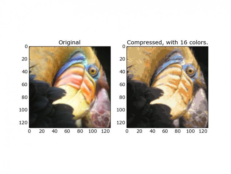 ML Class in Python ex7 bird image compression